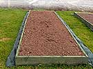 Raised Vegetable Beds